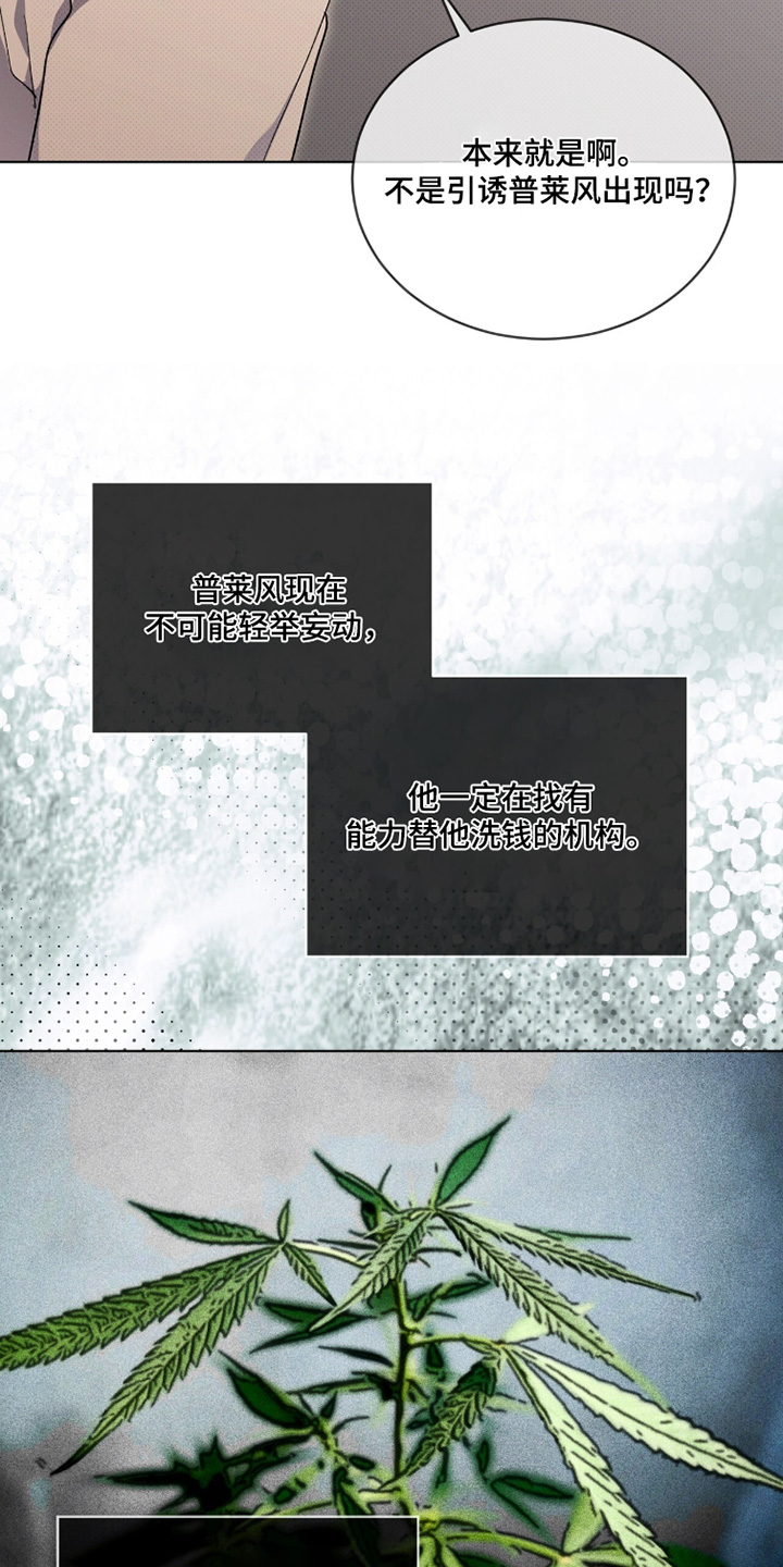 物种起源达尔文漫画,第51章：打算怎么办5图