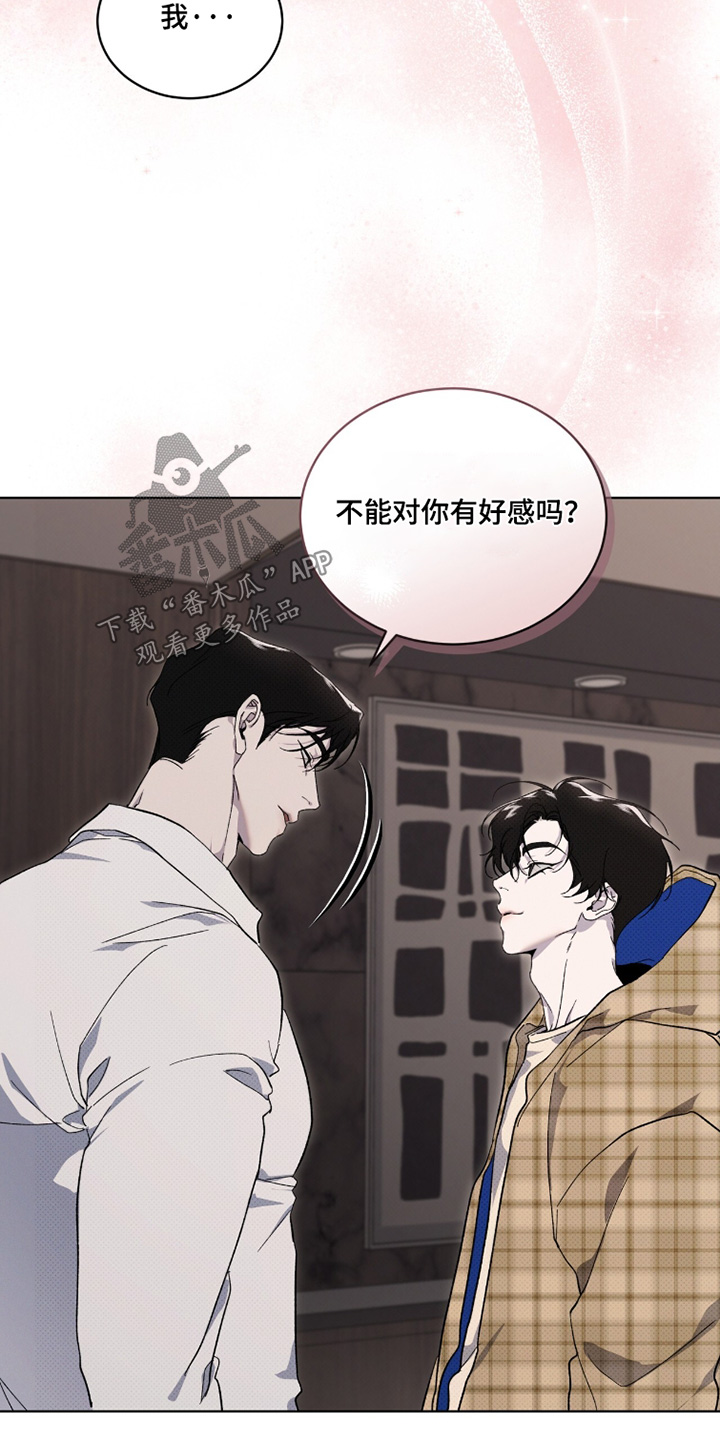 物种起源达尔文漫画,第51章：打算怎么办3图