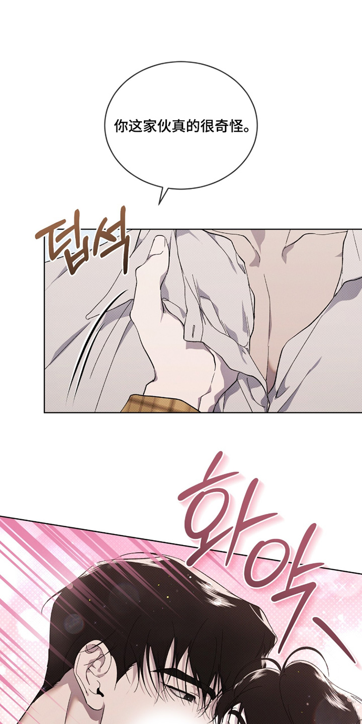 物种起源达尔文漫画,第51章：打算怎么办4图