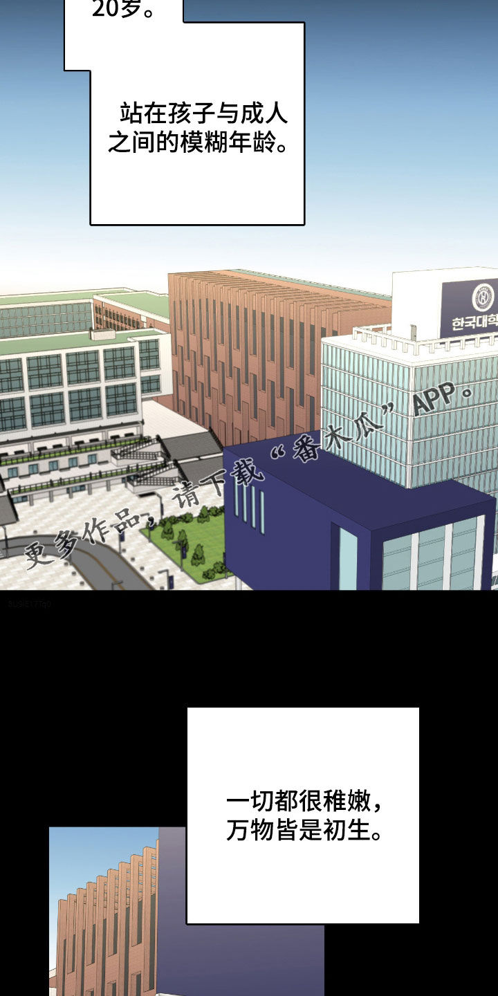 消极的恋爱漫画免费观看全集漫画,第81章：【第二季】酒局2图