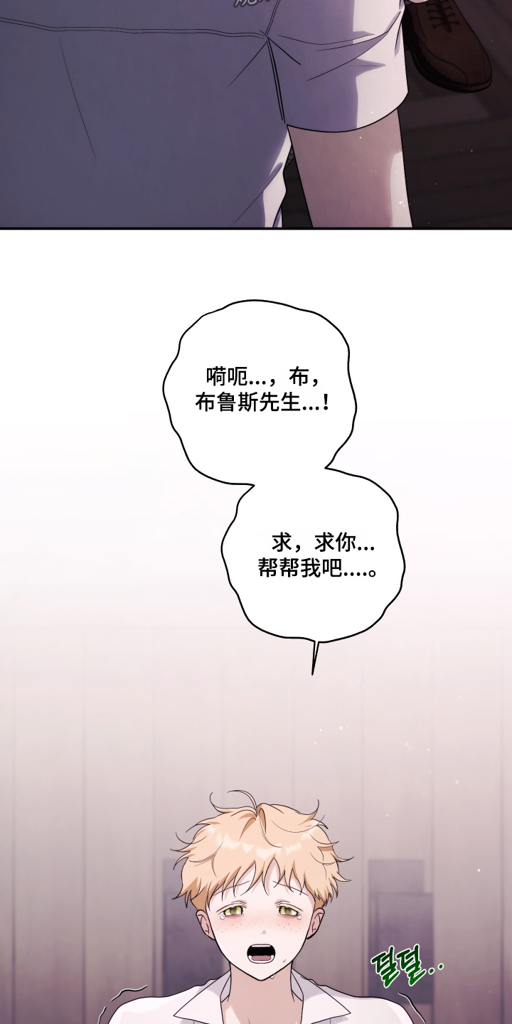 潮鸣新手攻略角色漫画,第57章：怀孕了5图