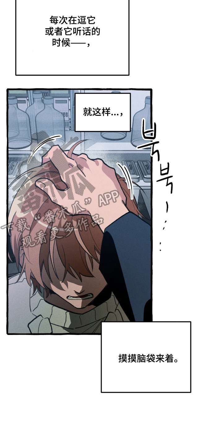 噩梦旅行漫画,第111章：【第二季】谁5图