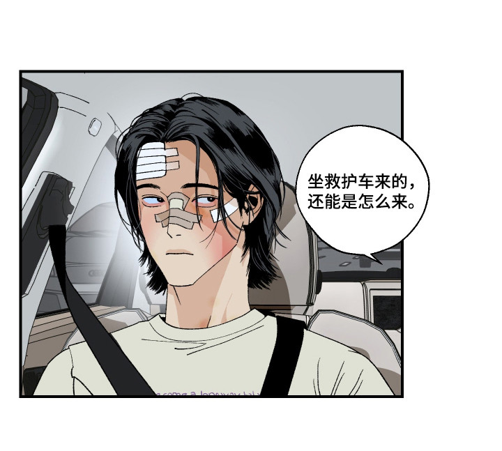 伪善辖区漫画,第36章：全体议会5图