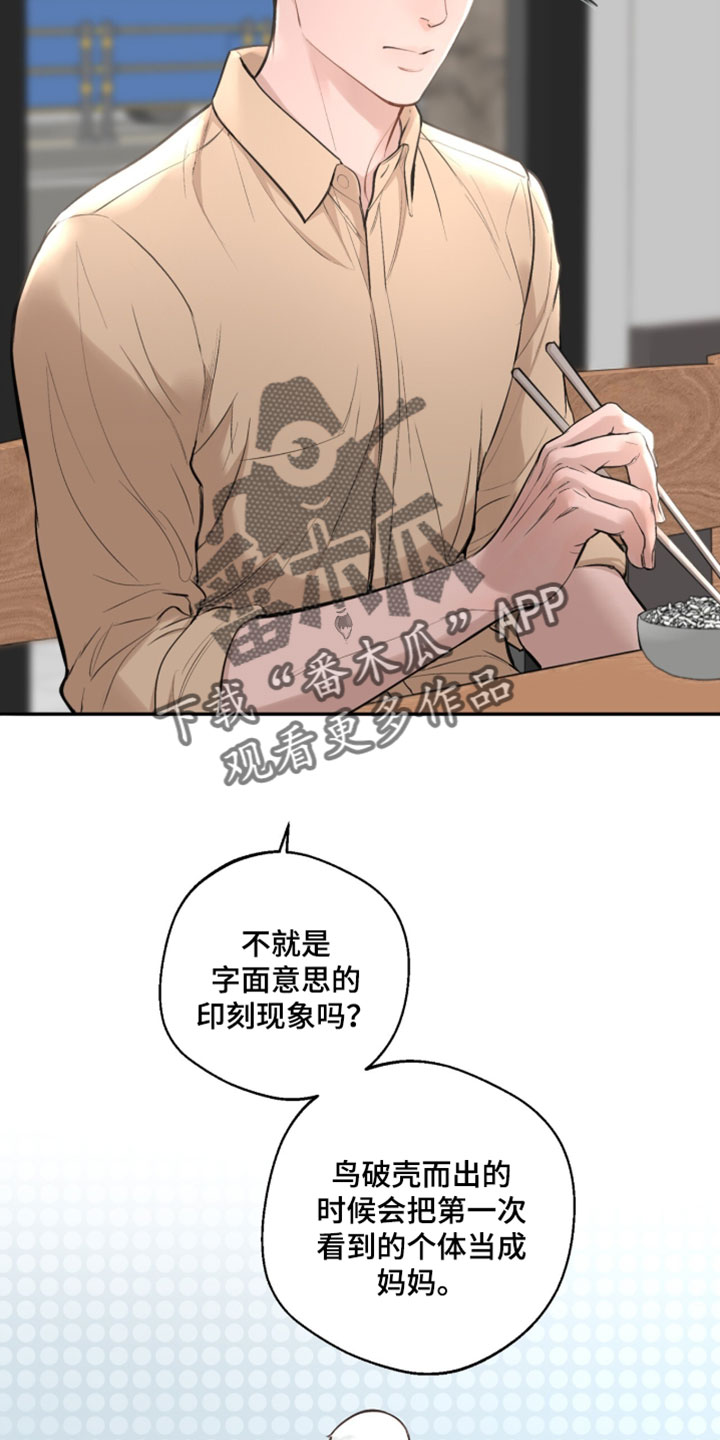 冲刺吧泳池冠军漫画,第59章：【第二季】浪费4图