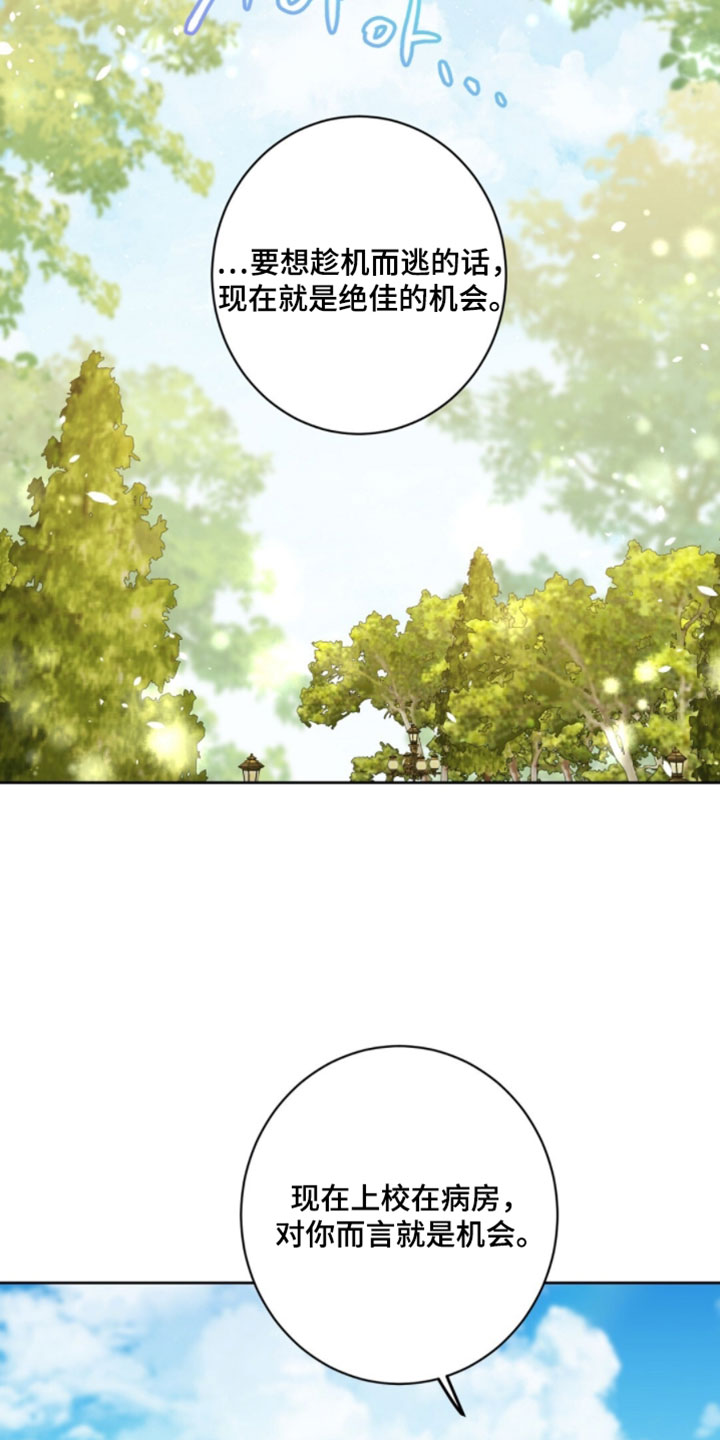 士官的军衔对照表漫画,第144章：请不要再来了4图