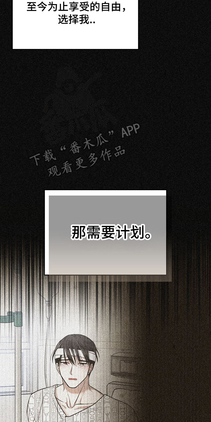 糖霜是什么漫画,第53章：需要计划4图