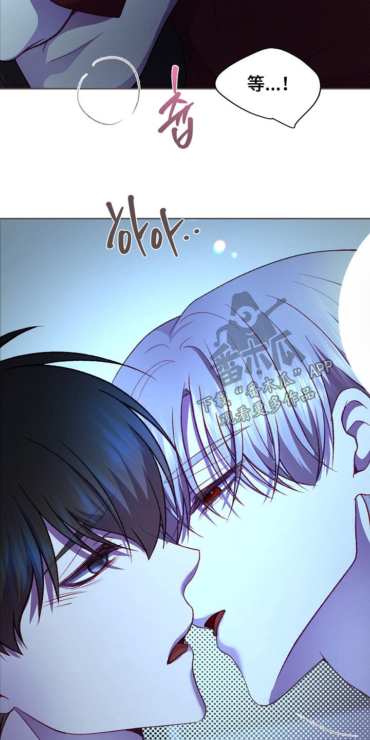命运伴侣漫画,第145章：【第二季】互相喜欢5图