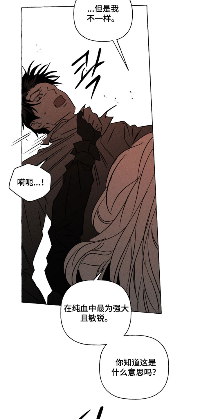 血族囚笼下拉式漫画最新章节漫画,第141章：事实的真相2图