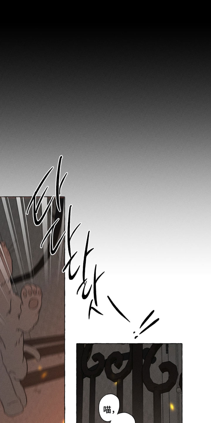 血族囚笼下拉式漫画最新章节漫画,第144章：不要哭1图