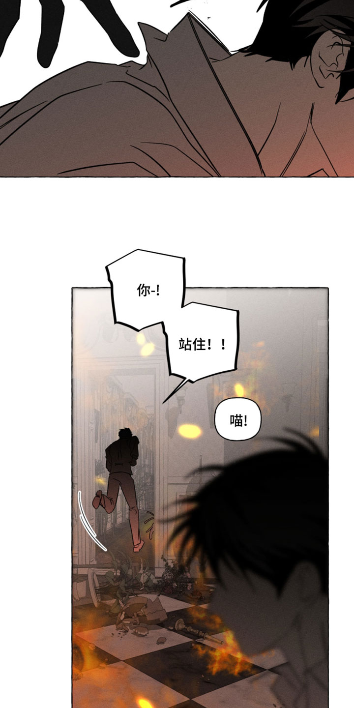 血族囚笼花骨血漫画免费观看漫画,第144章：不要哭3图