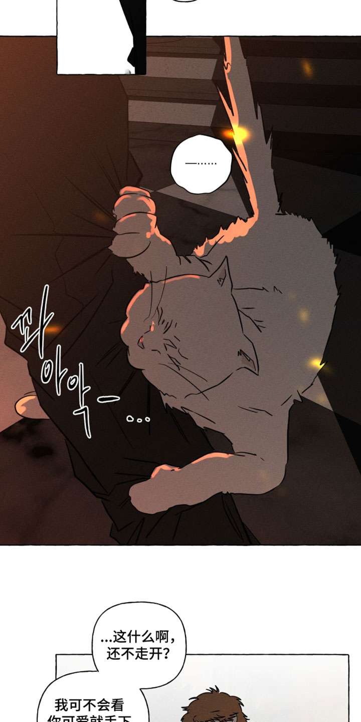 血族囚笼下拉式漫画最新章节漫画,第144章：不要哭4图