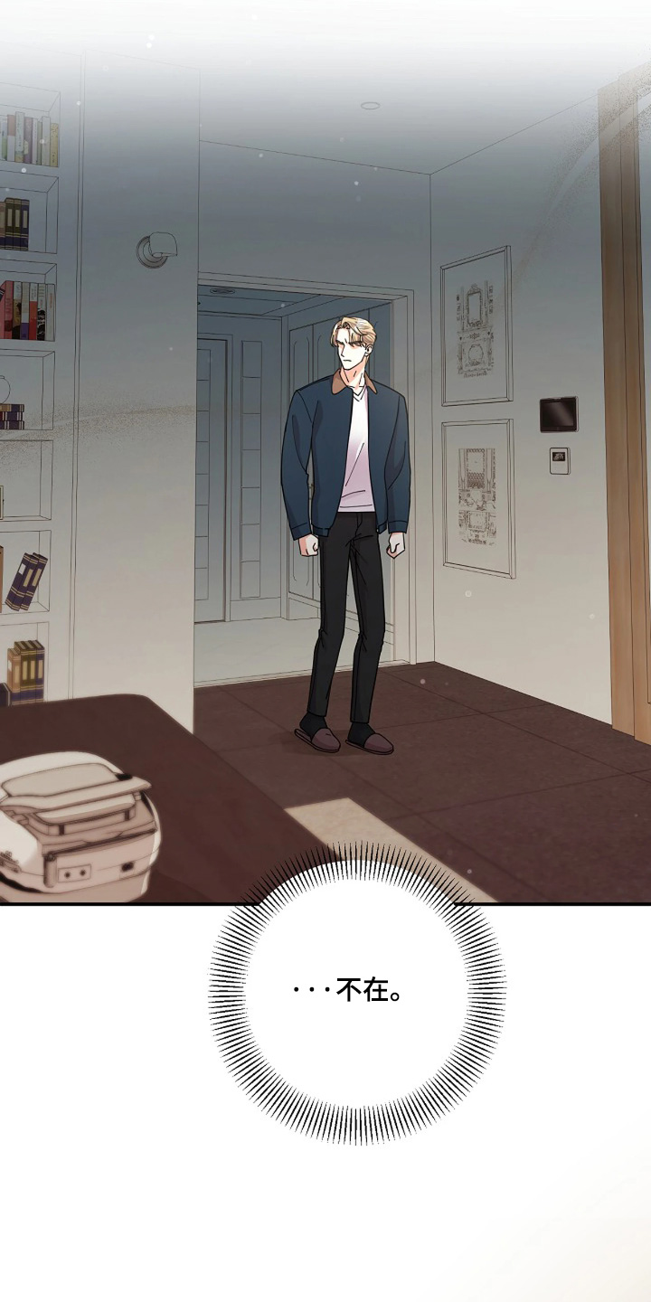 灿烂的七十年代漫画,第87章：【第二季】发生了什么5图