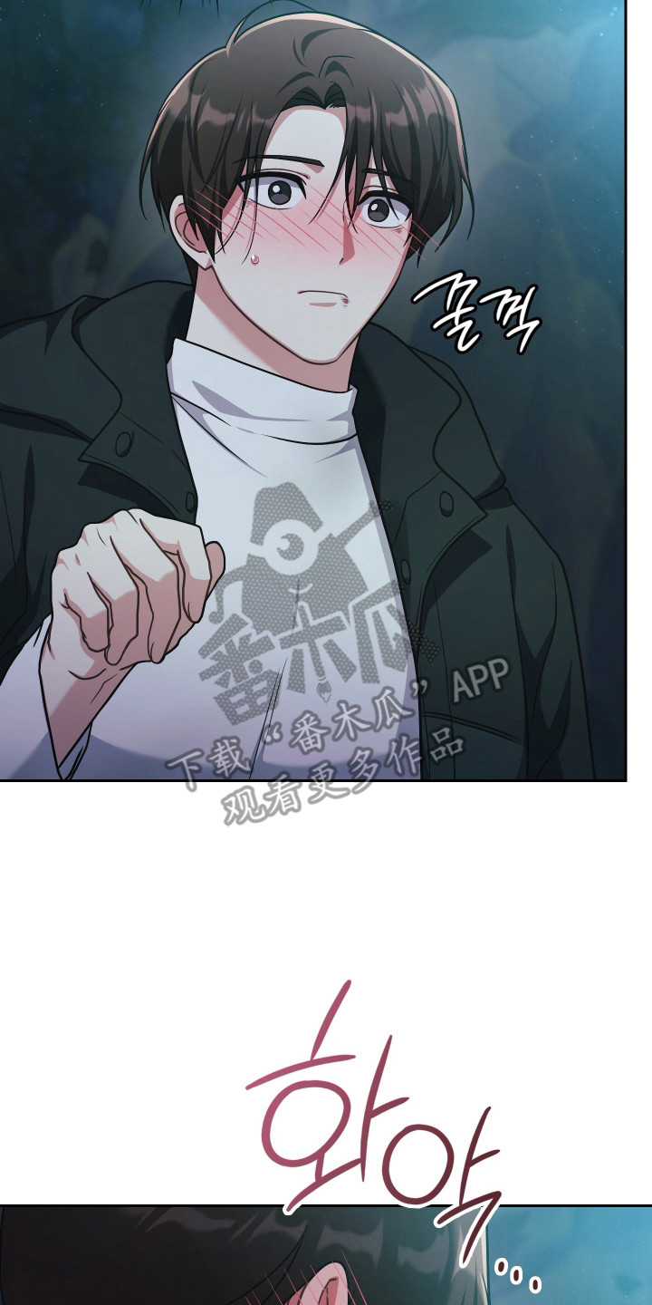 时空老人眷顾的她作文600字漫画,第82章：爱1图