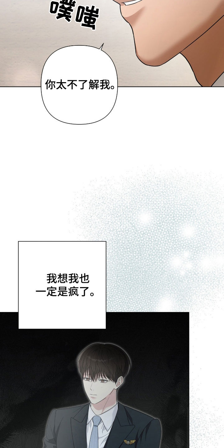 机长密约漫画,第85章：一定是疯了5图