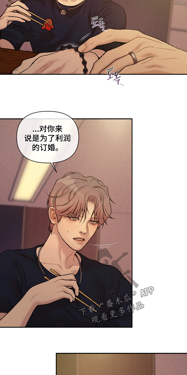 点燃的罪孽漫画,第60章：制定对策2图