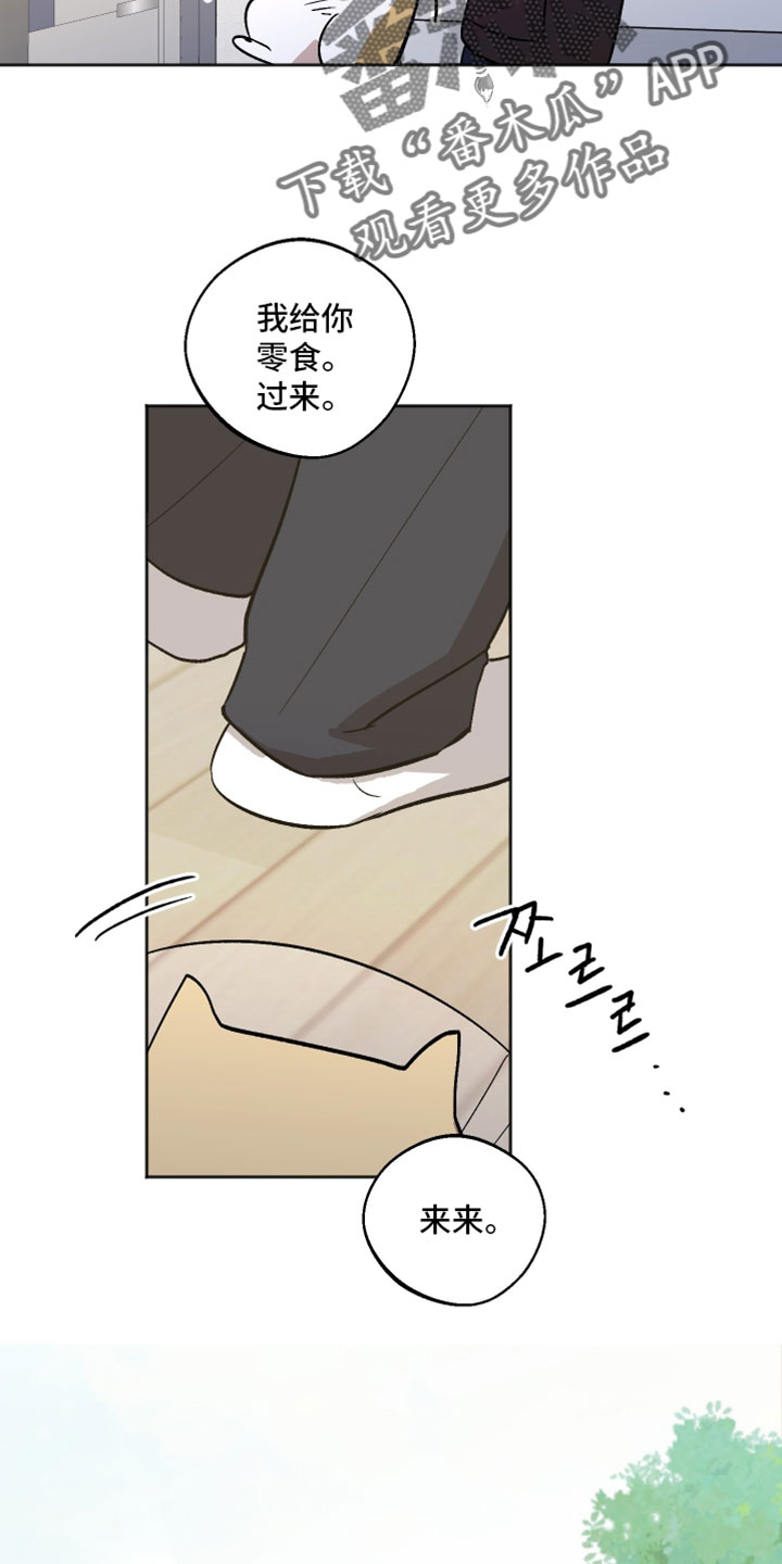 前世的祈愿漫画,第73章：更多的选择3图