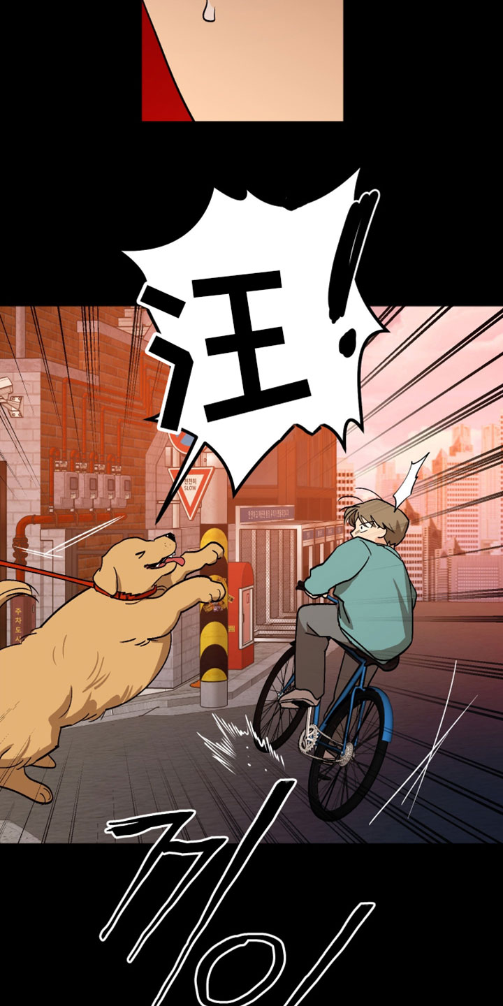 前世的祈愿漫画,第71章：我还很害怕3图