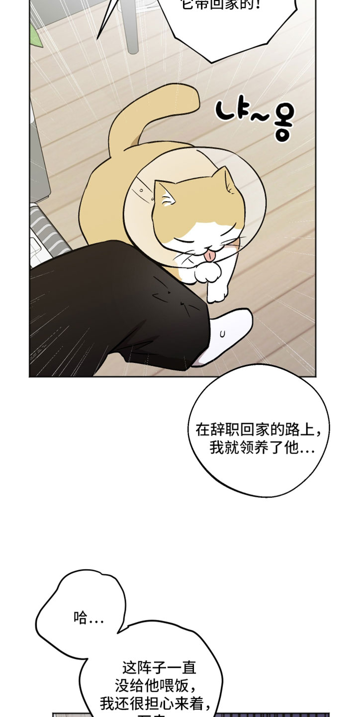 前世的祈愿漫画,第76章：我都是老样子4图