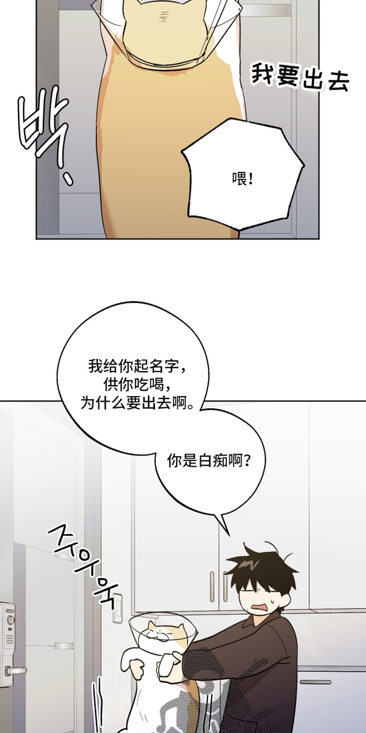 前世的祈愿漫画,第73章：更多的选择2图