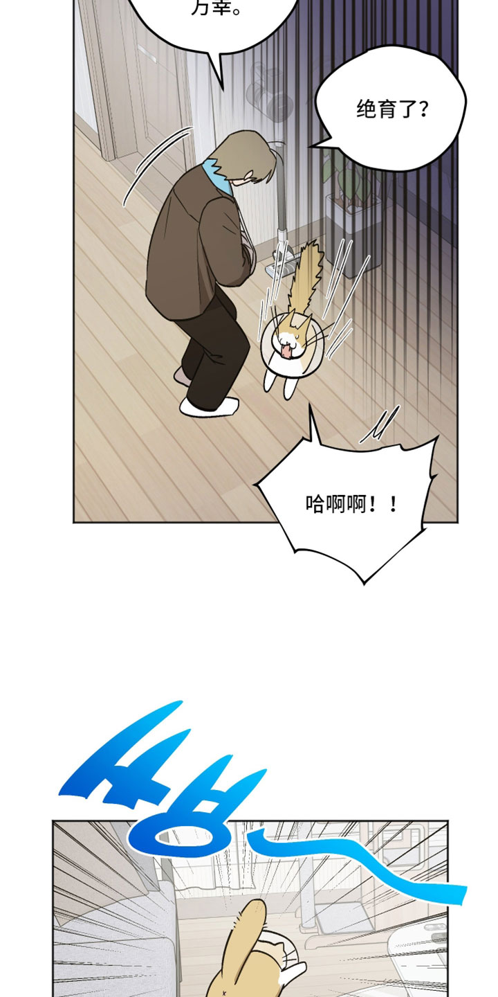 前世的祈愿漫画,第76章：我都是老样子5图