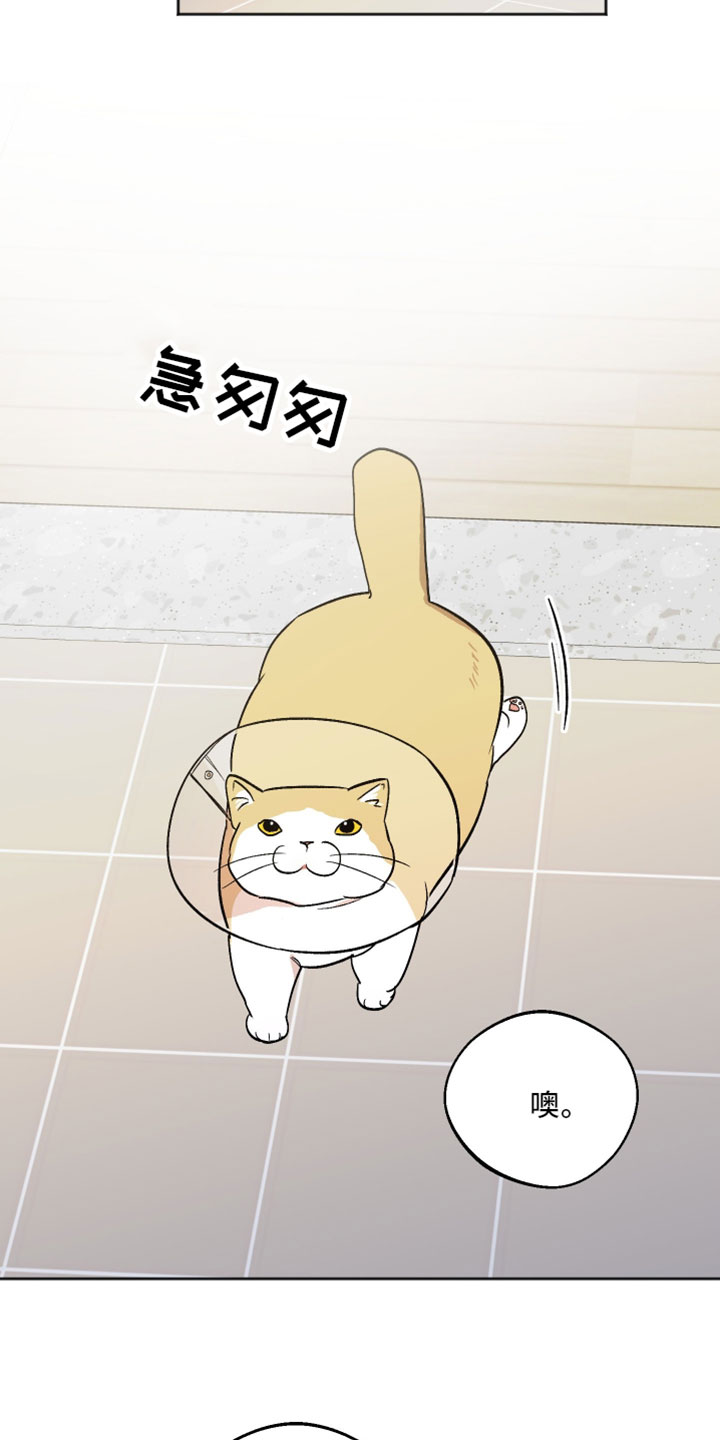 前世的祈愿漫画,第73章：更多的选择5图