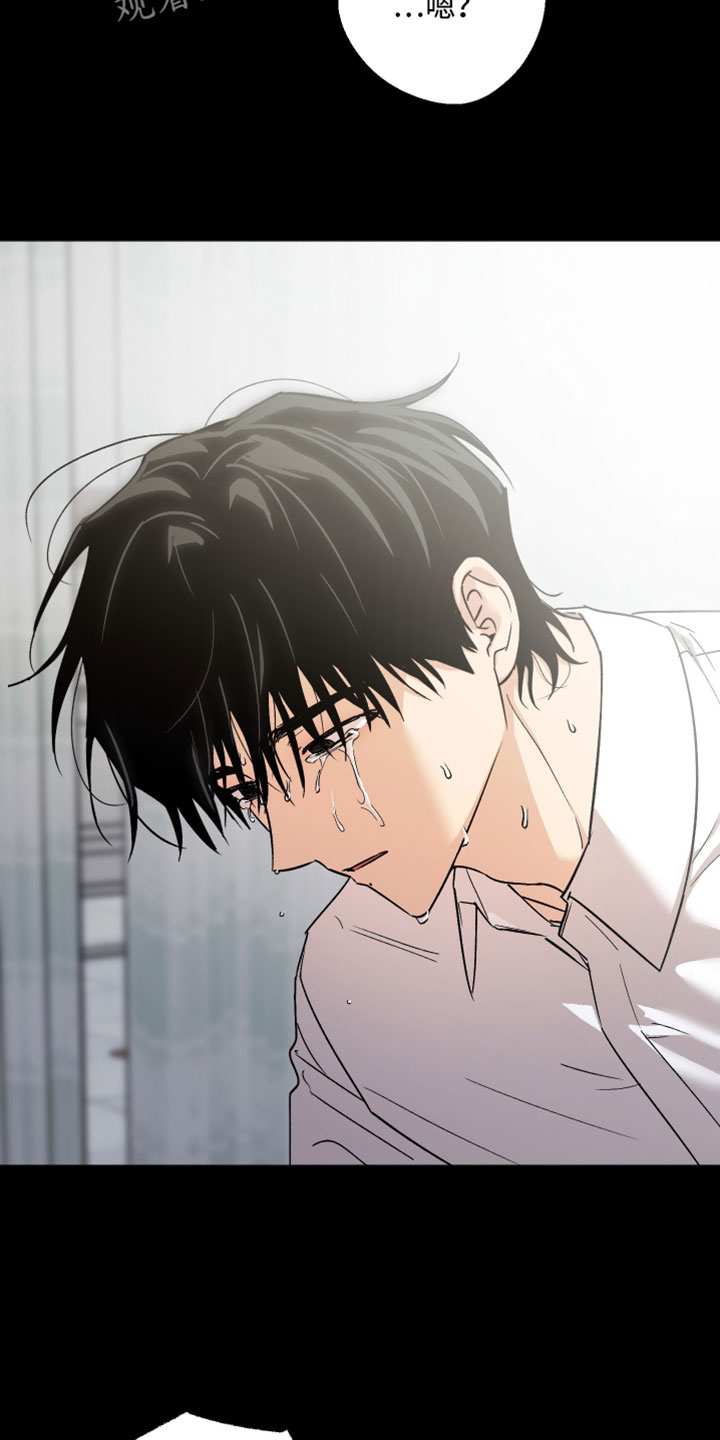 前世的祈愿漫画,第72章：一点也不疼3图