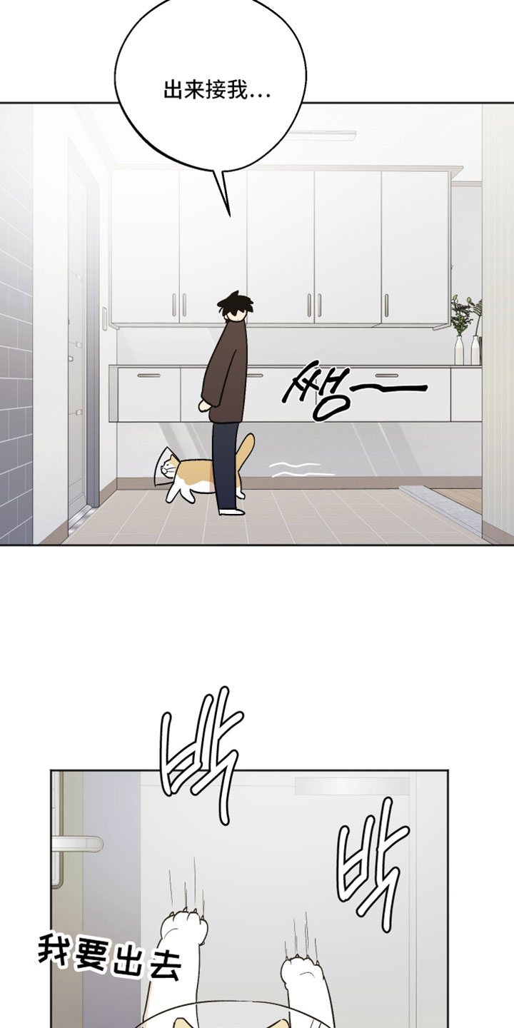 前世的祈愿漫画,第73章：更多的选择1图