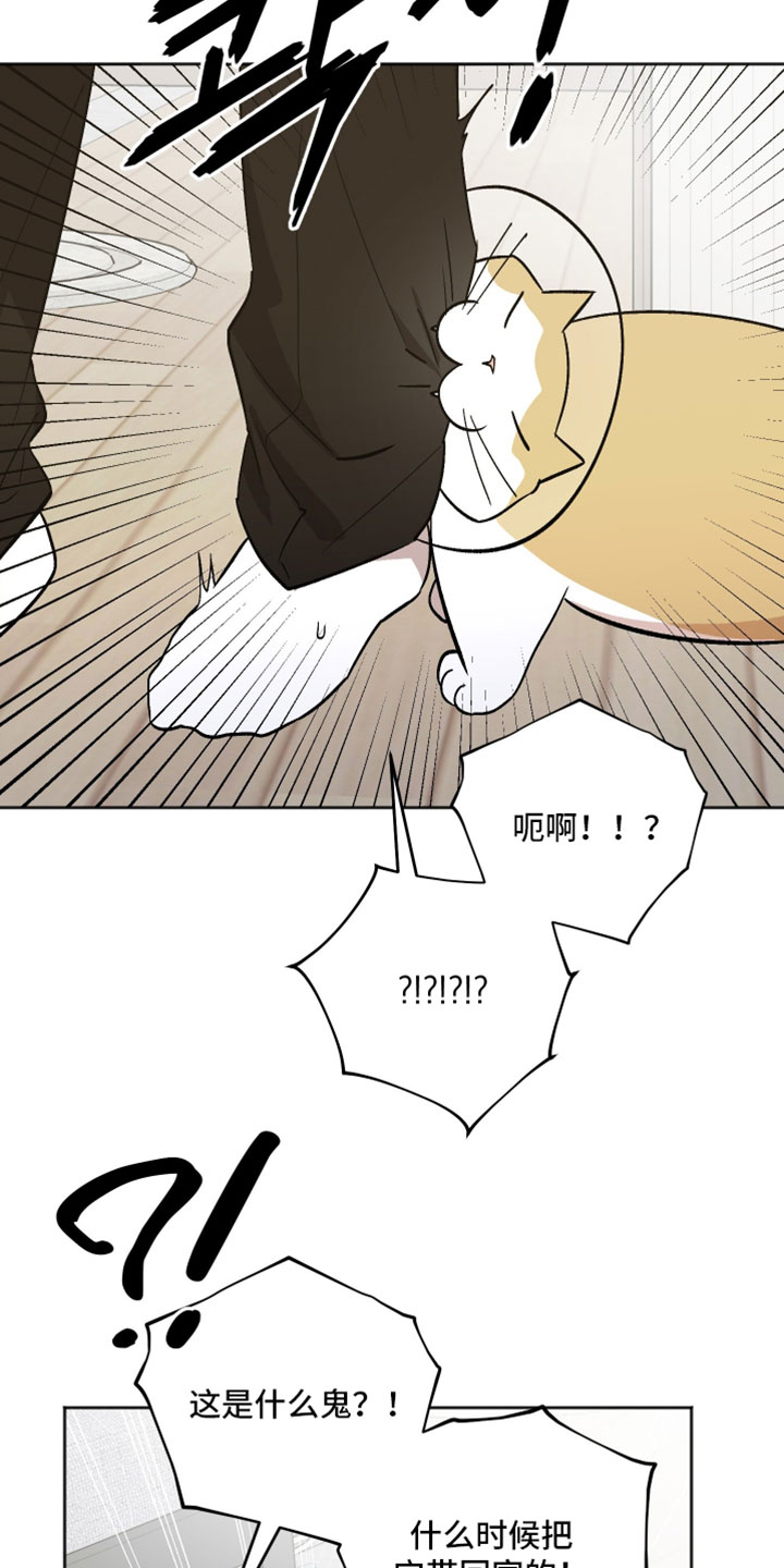前世的祈愿漫画,第76章：我都是老样子3图