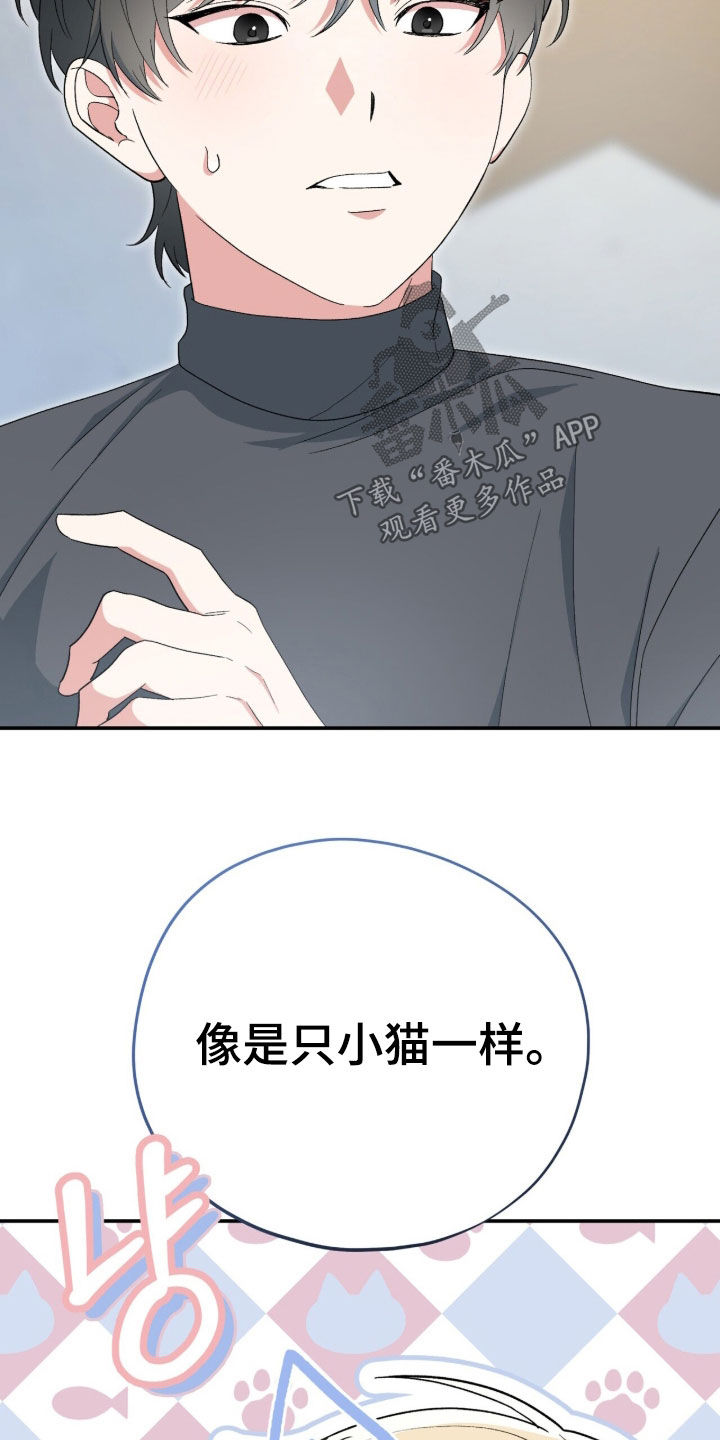 黑暗时代漫画,第68章：像只小猫5图