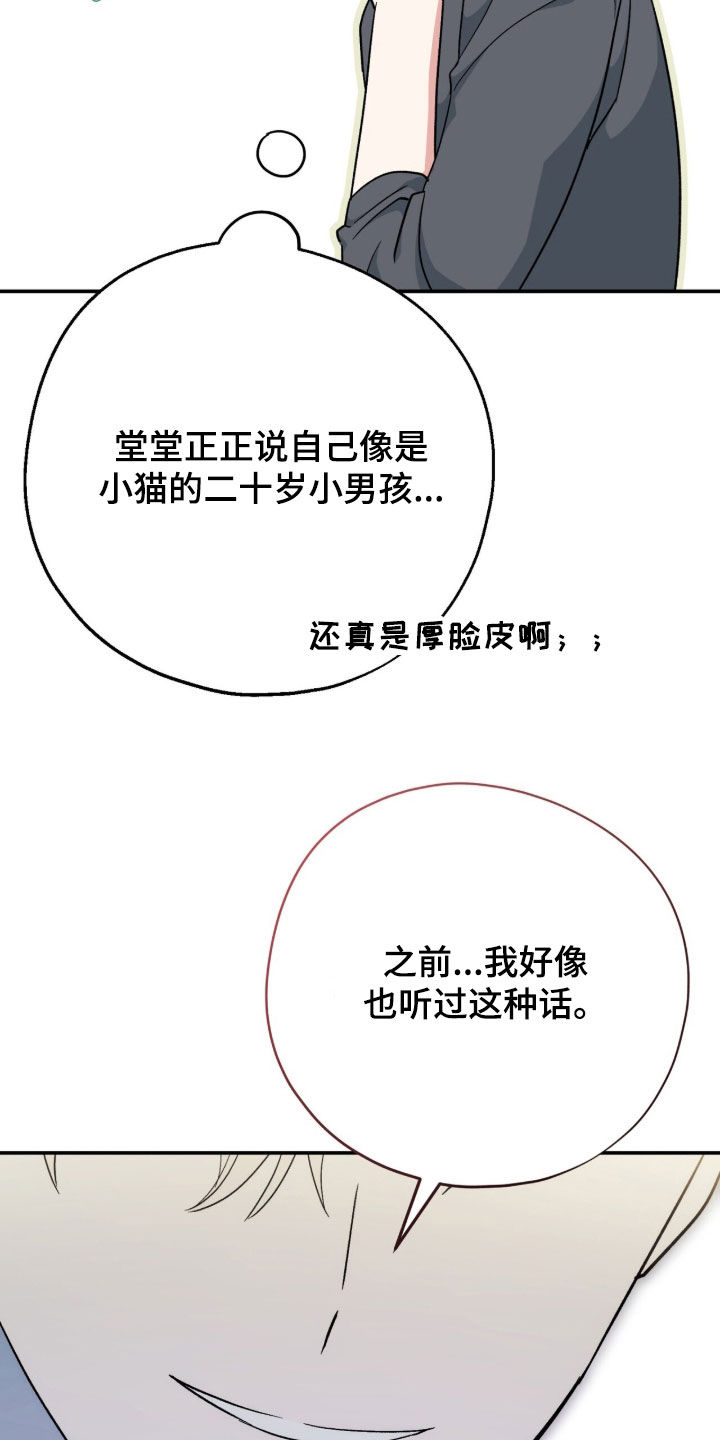黑暗时代漫画,第68章：像只小猫3图