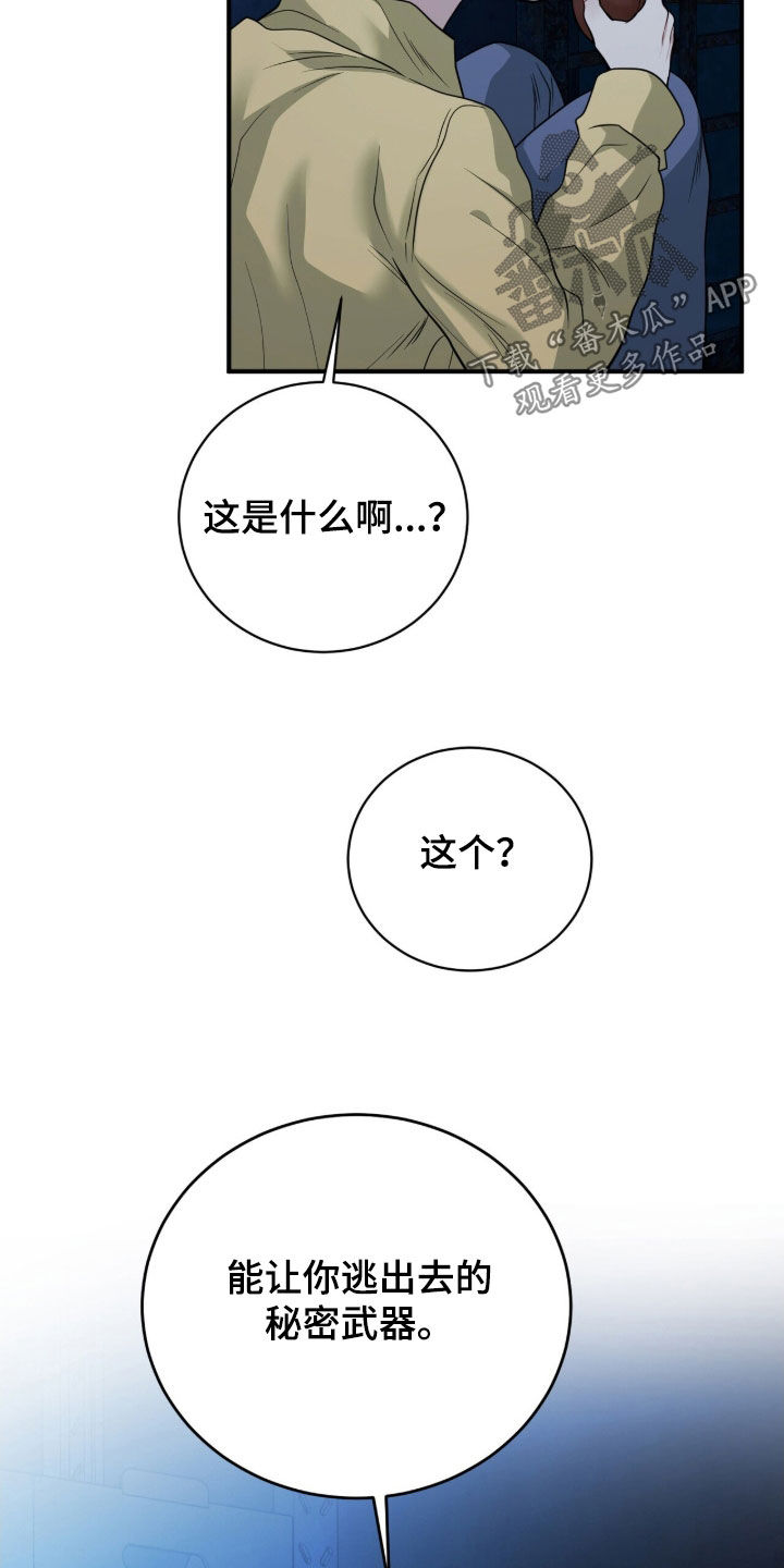 囚爱开端漫画正版购买漫画,第69章：秘密武器4图