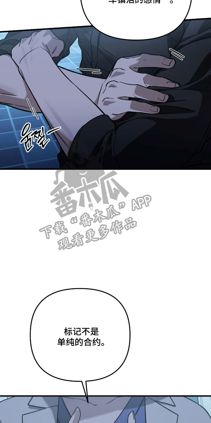 能力者禁猎区漫画,第60章：注意事项5图