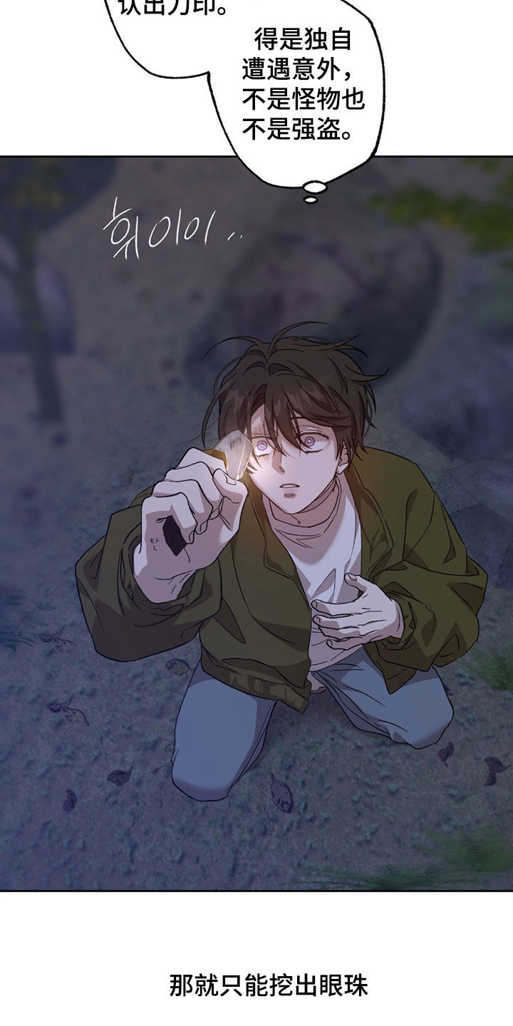 双生悲恋全文阅读漫画,第68章：眼珠2图