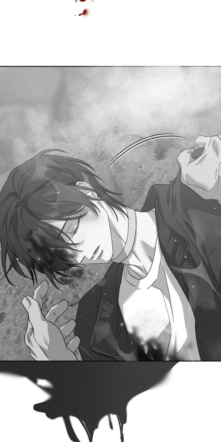 双生悲恋全文阅读漫画,第67章：浑身是血5图