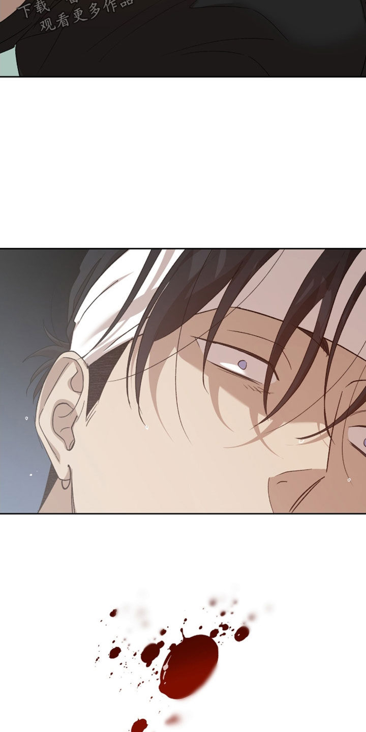 双生悲恋全文阅读漫画,第67章：浑身是血4图