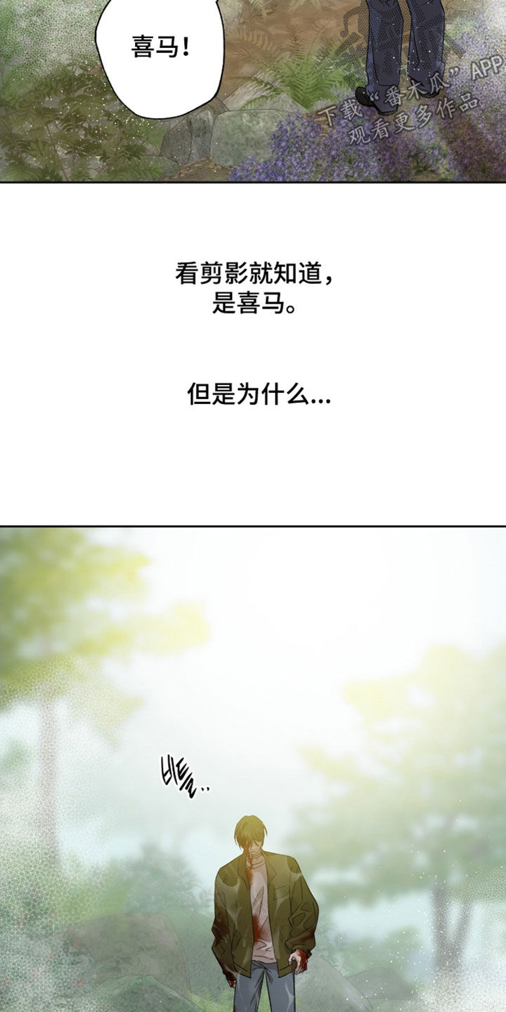 双生悲恋全文阅读漫画,第67章：浑身是血5图