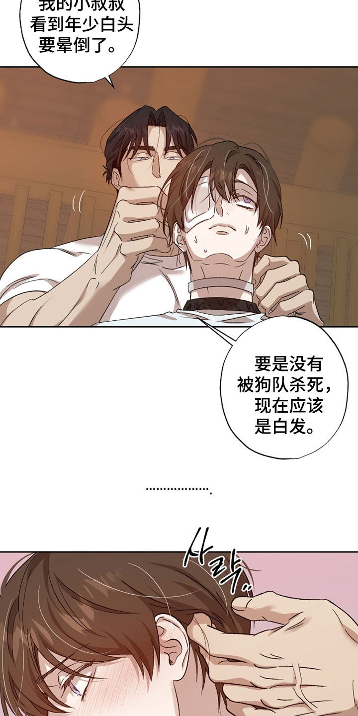 双生悲愿在哪里看漫画,第71章：真恶心2图