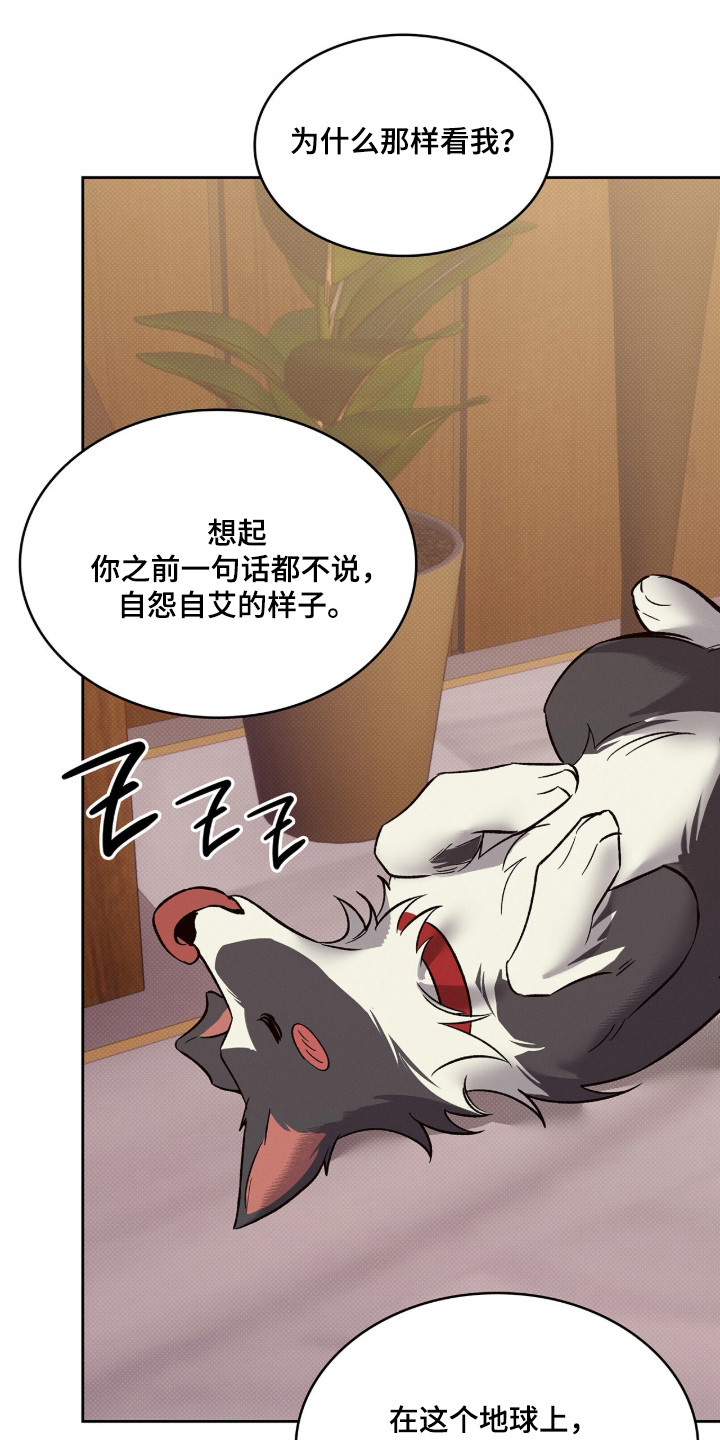 无名救赎剧情解析漫画,第91章：【第二季】记忆趣事1图