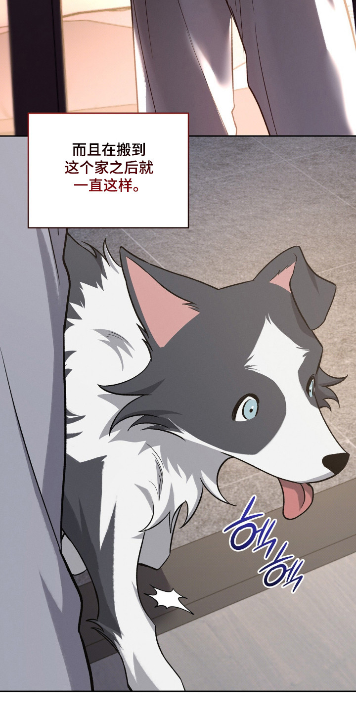 无名救赎剧情解析漫画,第91章：【第二季】记忆趣事4图
