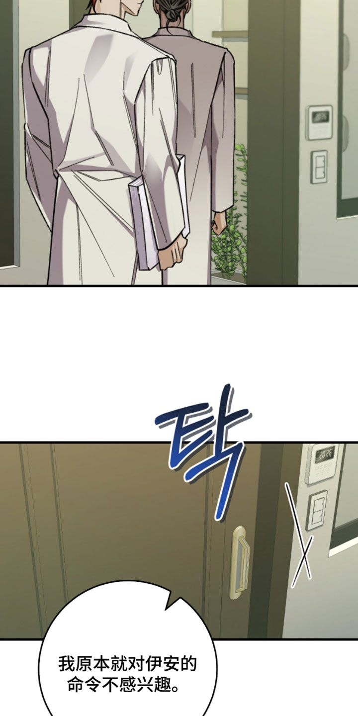越界助理漫画,第49章：我破例允许了4图
