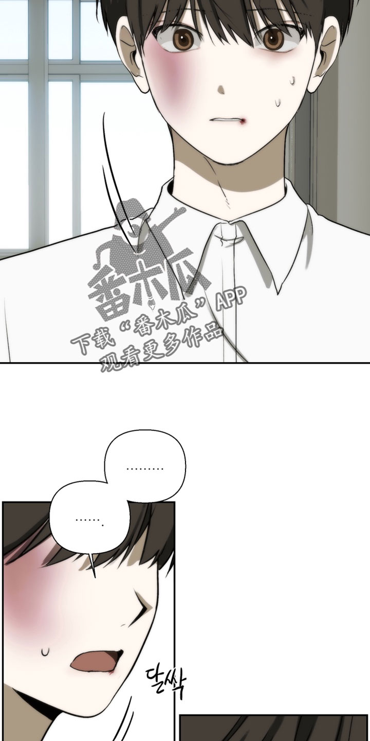 不良少年饲养手册漫画,第48章：我真没用2图
