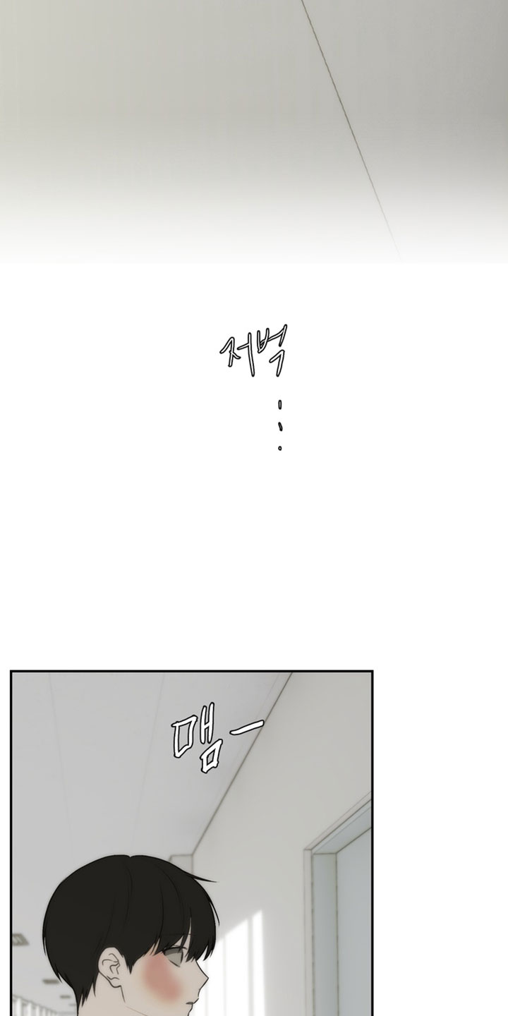 不良少年饲养手册漫画,第49章：充满期待的眼神1图