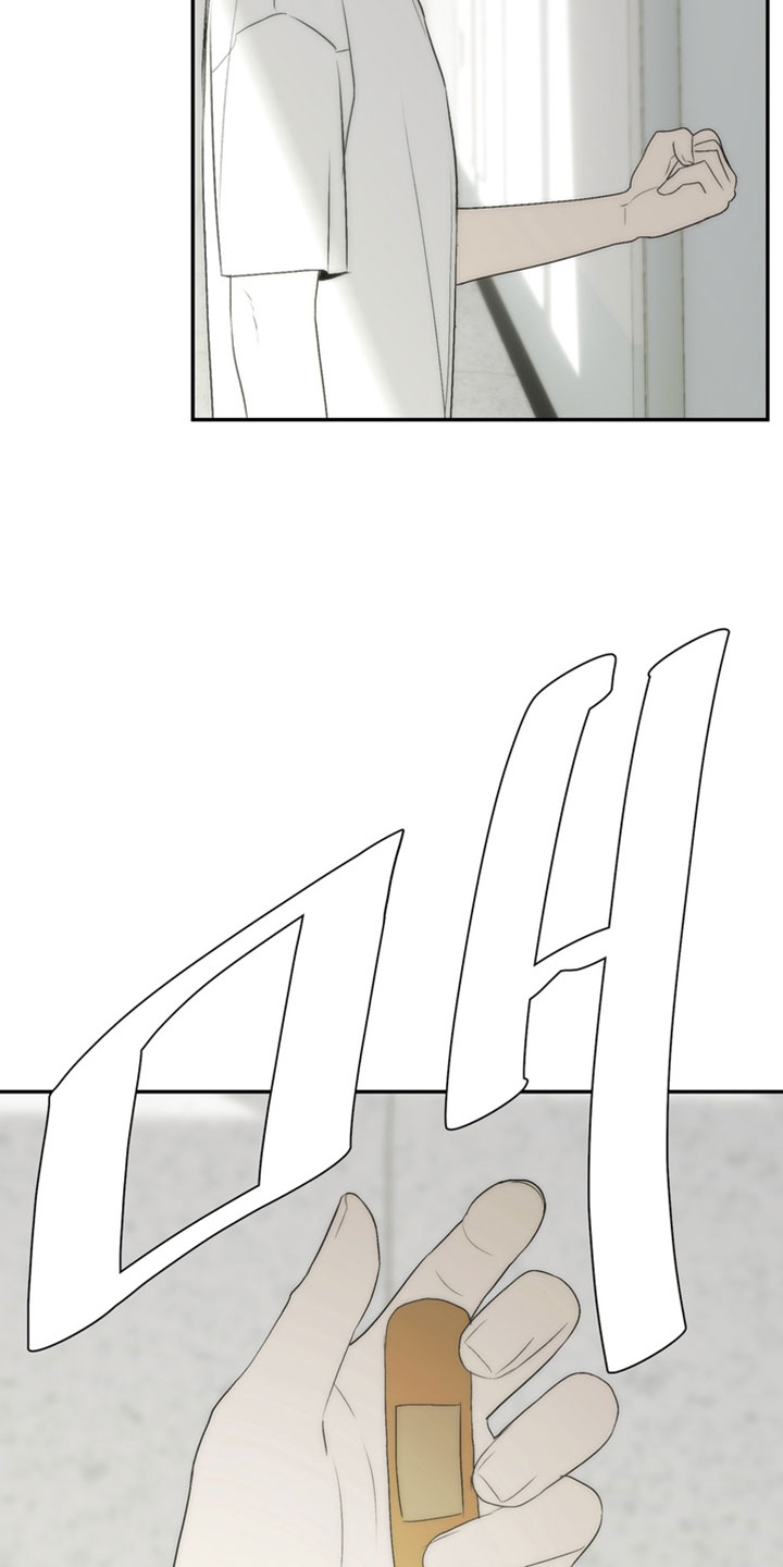 不良少年饲养手册漫画,第49章：充满期待的眼神3图