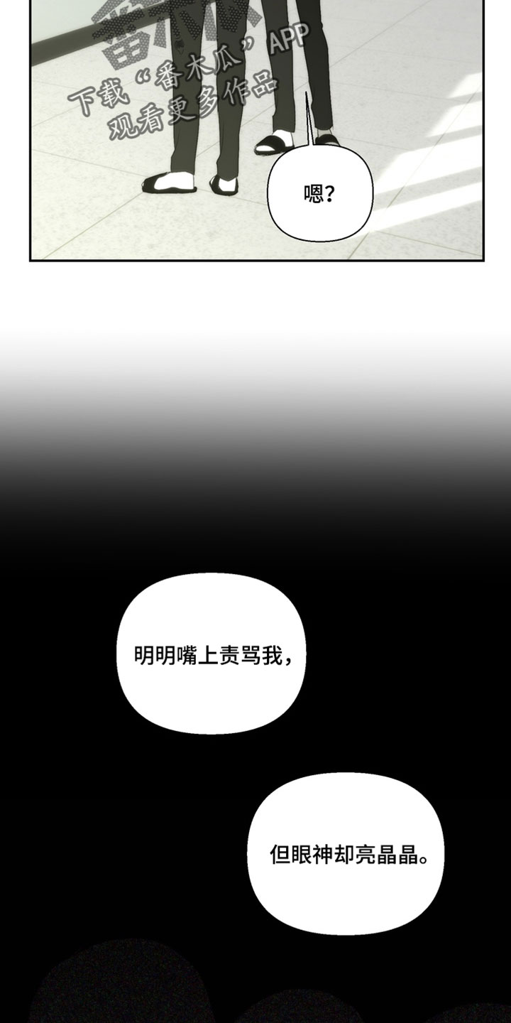 不良少年饲养手册漫画,第49章：充满期待的眼神3图