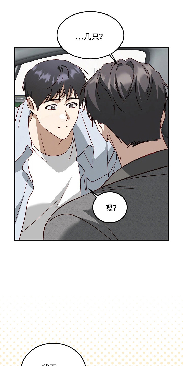 国民男友的秘密漫画,第50章：闭眼数羊5图