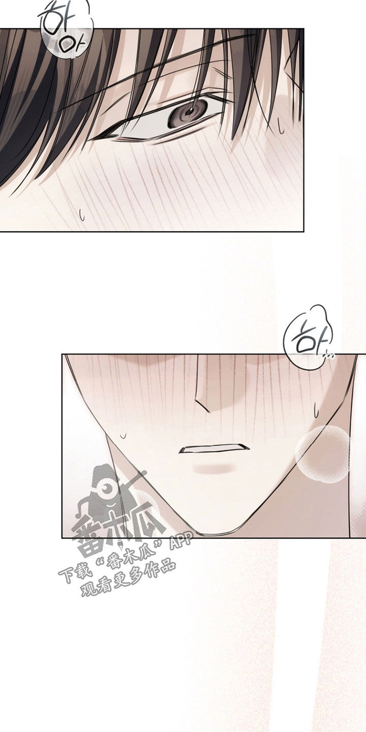 便利店新星解说漫画,第43章：像是在做梦3图