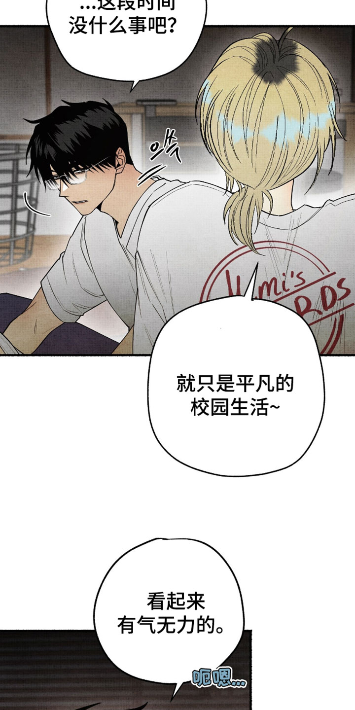 幽灵社招募中漫画,第41章：平凡的校园生活4图