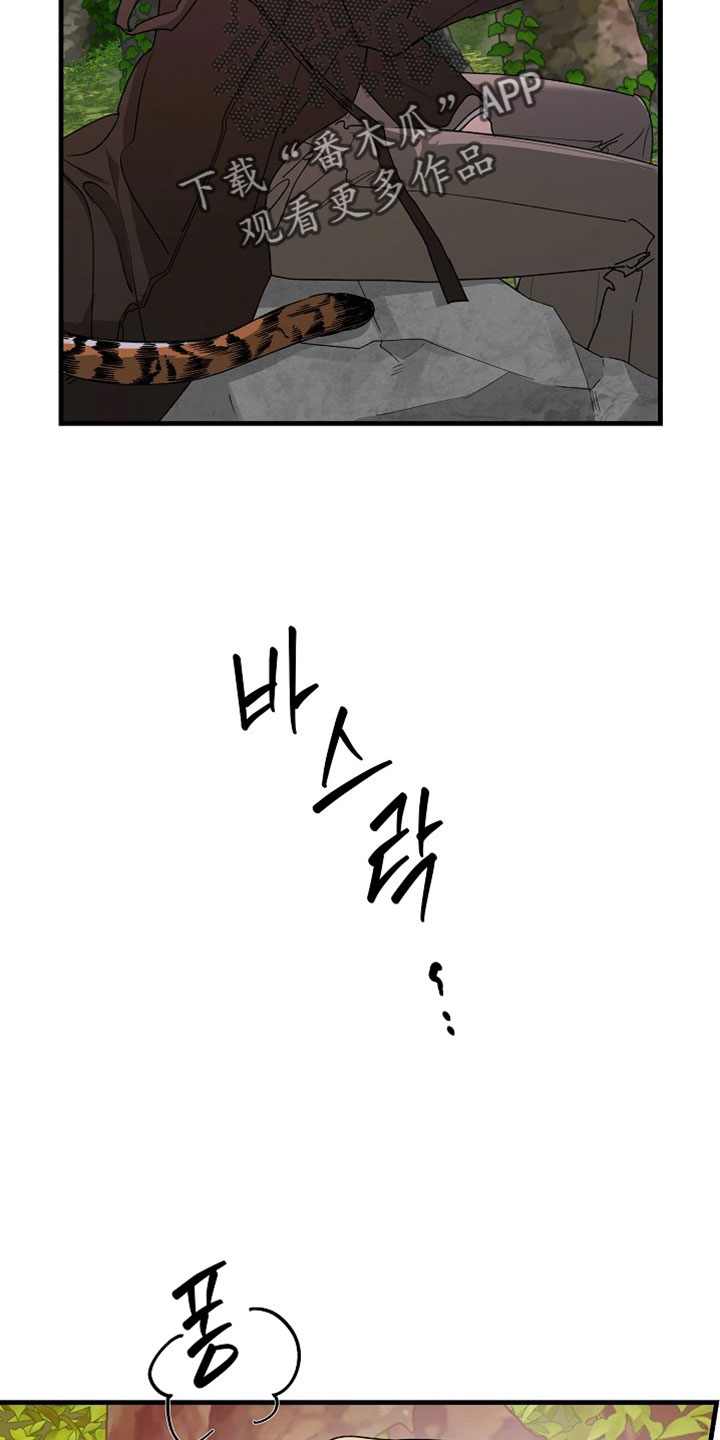 命中犯虎漫画,第53章：为什么不告诉我3图