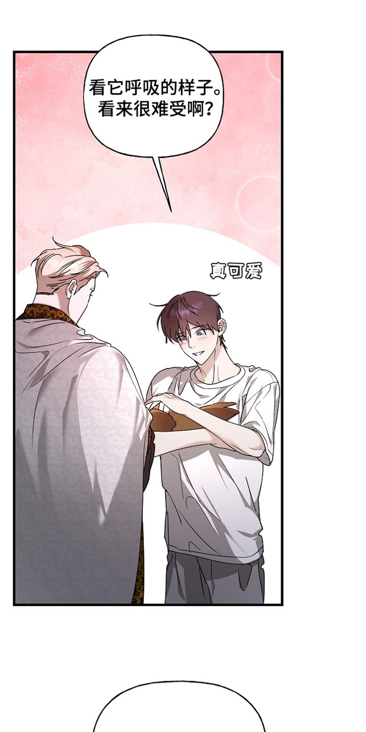 命中犯虎漫画,第60章：不要过来啊3图