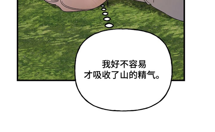 命中犯虎漫画,第54章：最愤怒的事情4图